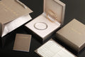 Bulgari Serpenti Bracelet - Premium Quality