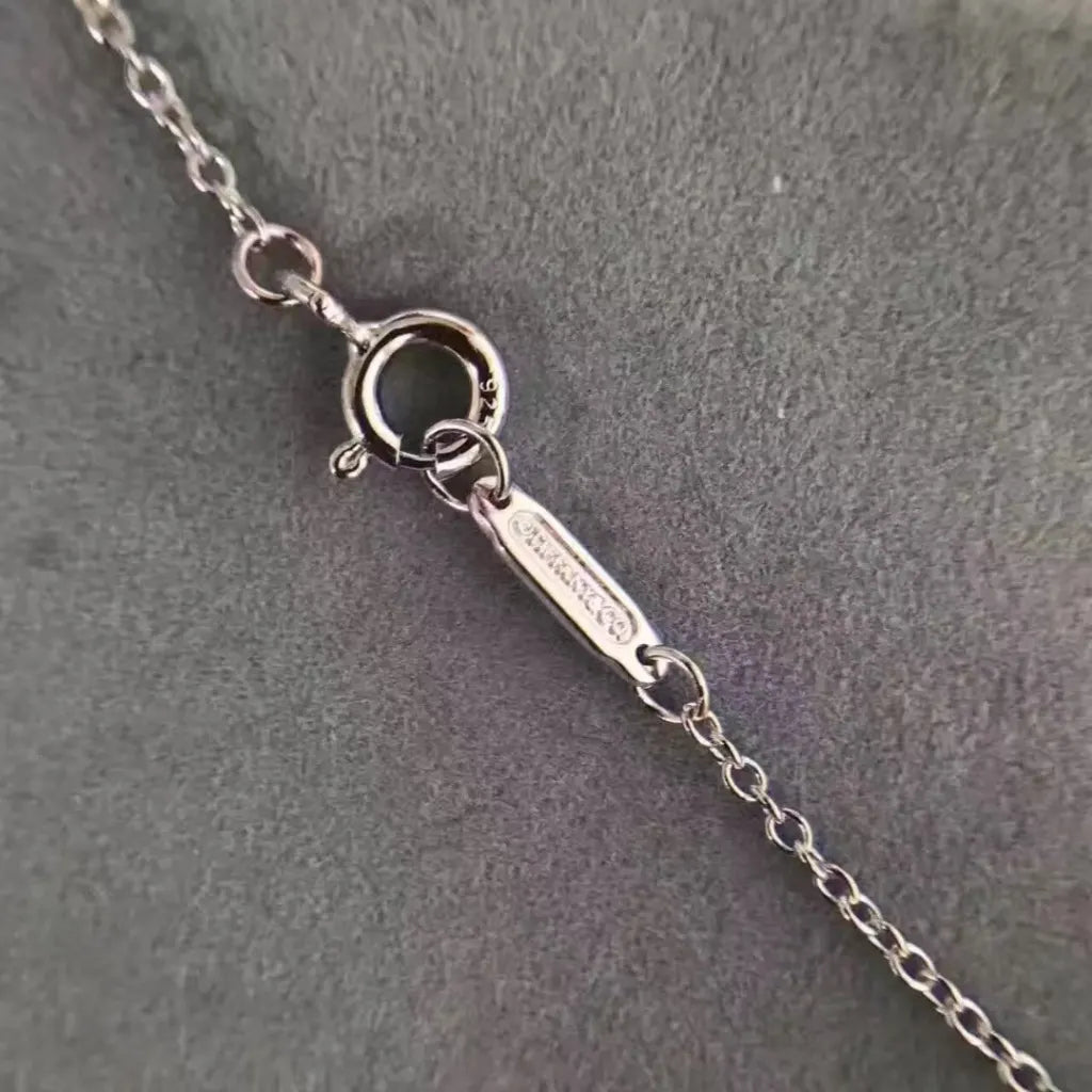 Tiffany Silver Interlocking Circle Necklace - Tiffany & Co. Silver